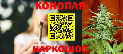 mdpv Можга